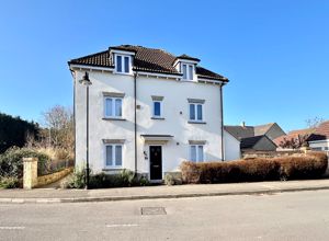 Front- click for photo gallery